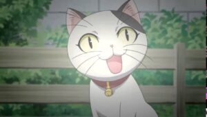 Cats Wish Episode 1 Eng Dub  Supernatural / Harem Anime  YouTube